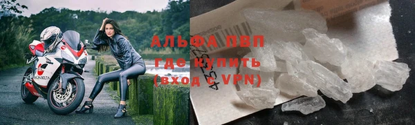 стаф Кукмор