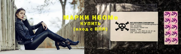 хмурый Краснослободск