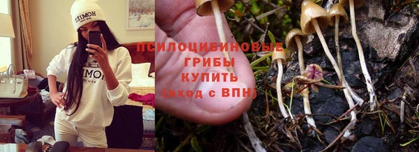 стаф Кукмор