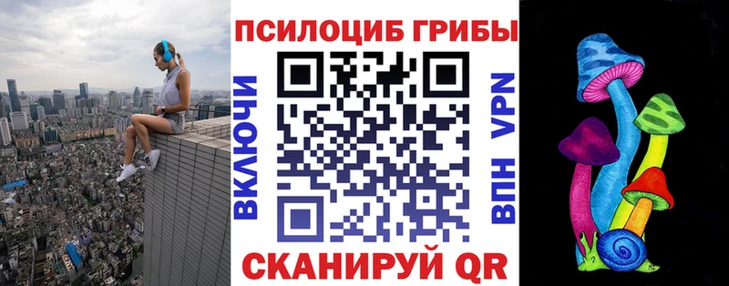Галлюциногенные грибы Psilocybine cubensis Пионерский