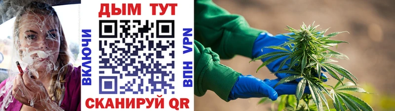 Конопля марихуана Пионерский